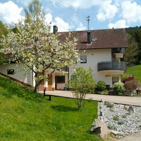 Ferienwohnung Am Sulzbaechle Bad Rippoldsau-Schapbach Exterior foto