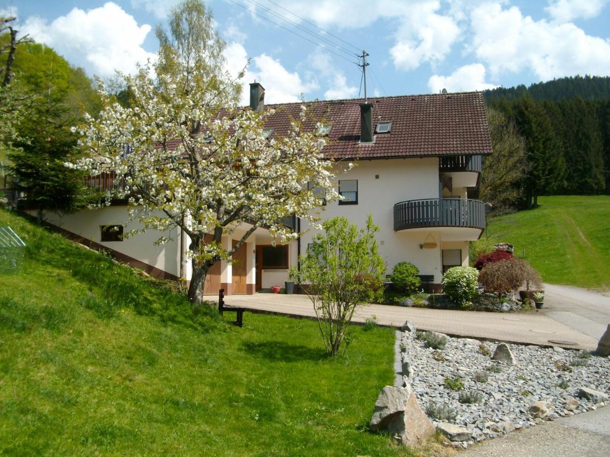Ferienwohnung Am Sulzbaechle Bad Rippoldsau-Schapbach Exterior foto